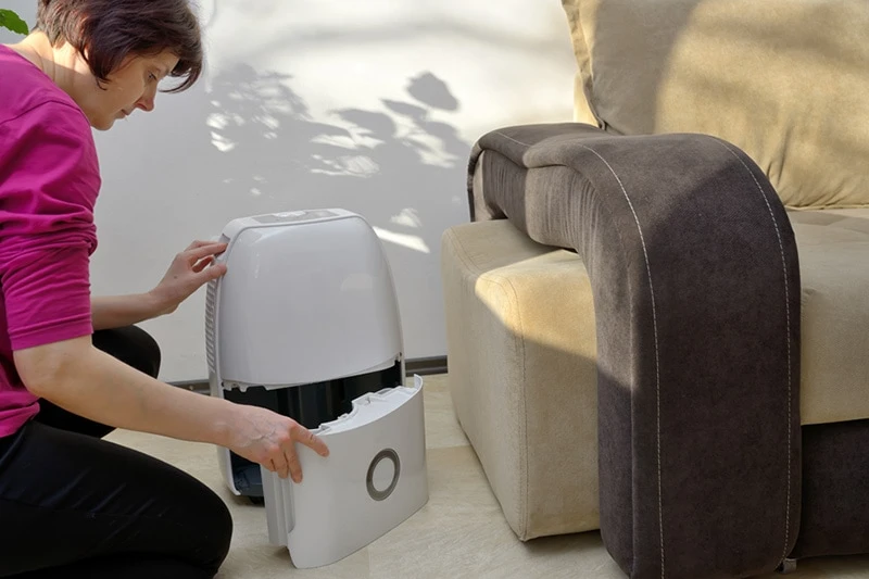 Person using a dehumidifier near a couch to reduce indoor moisture