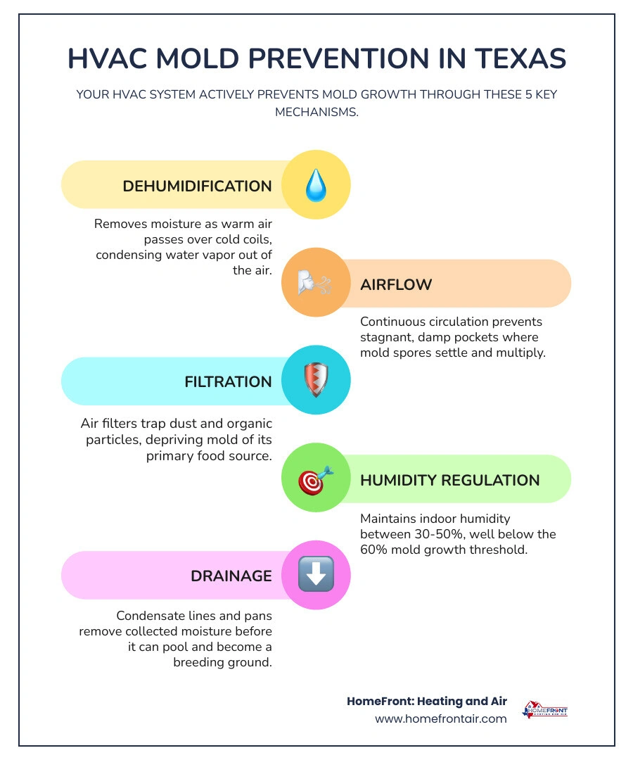 Infographic showing HVAC dehumidification process and how it prevents mold growth in Texas homes - how your hvac system Infographic showing HVAC dehumidification process and how it prevents mold growth in Texas homes - how your hvac system