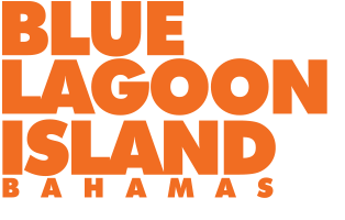 Dolphin Encounters-Logo