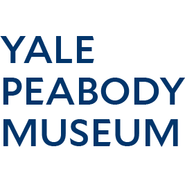 Yale Peabody Museum-Logo