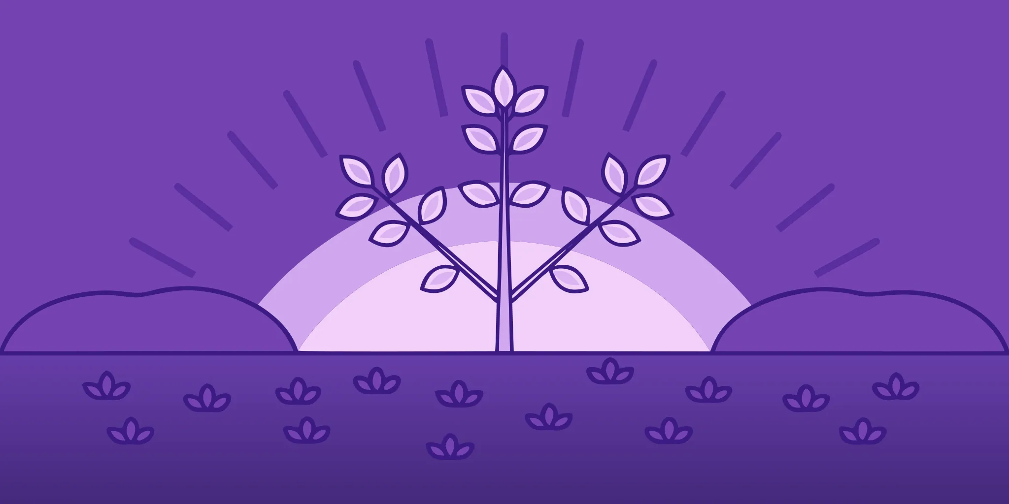 A growing tree in a field at sunrise, representing the financial principle of compound annual growth.