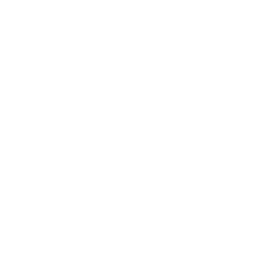 tiktok icon