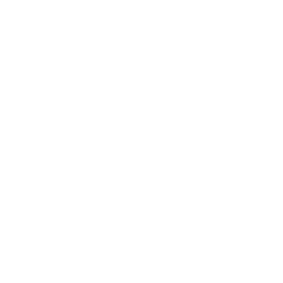 Blank white or transparent image with no discernible content