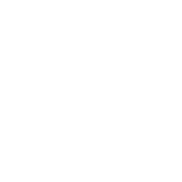 youtube icon