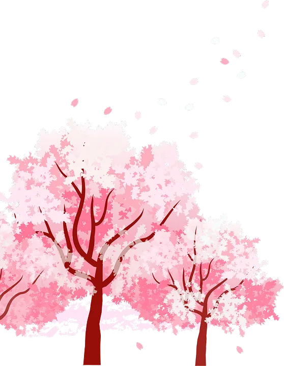 Pink cherry blossom trees with falling petals in soft watercolor style
