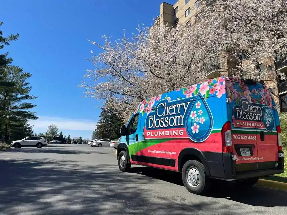 Cherry Blossom Plumbing van parked under blooming cherry trees on sunny day