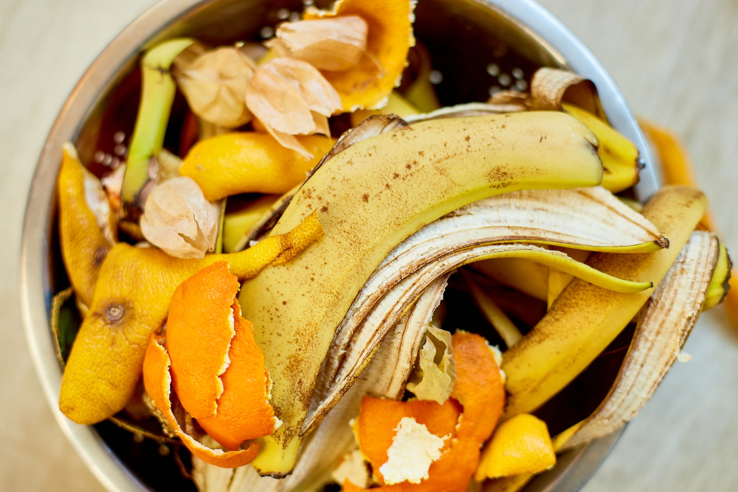 Bowl of banana peels and citrus fruit scraps, ready for composting