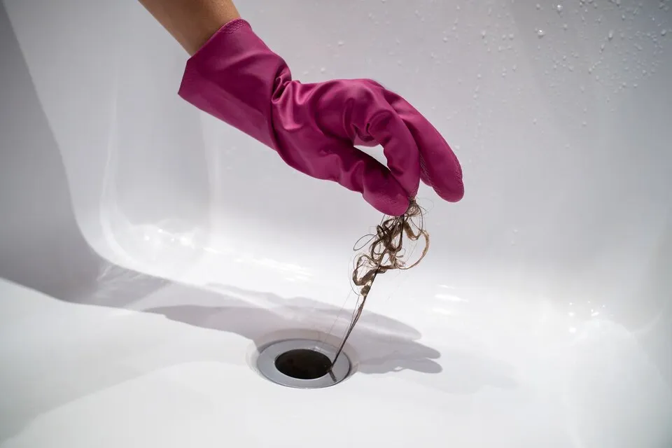 Pink glove removing tangled hair from shower drain