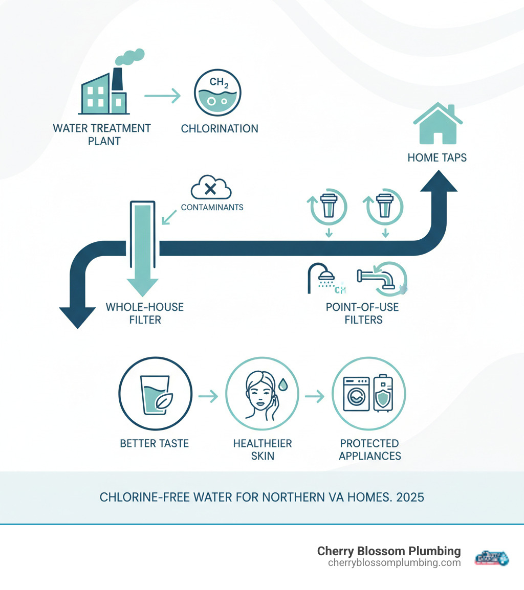 infographic showing the path of municipal water from treatment plant through chlorination to home taps, with arrows indicating where whole-house and point-of-use filters intercept chlorine and contaminants, plus icons showing benefits like better taste, healthier skin, and protected appliances - chlorine water filter northern va infographic infographic showing the path of municipal water from treatment plant through chlorination to home taps, with arrows indicating where whole-house and point-of-use filters intercept chlorine and contaminants, plus icons showing benefits like better taste, healthier skin, and protected appliances - chlorine water filter northern va infographic