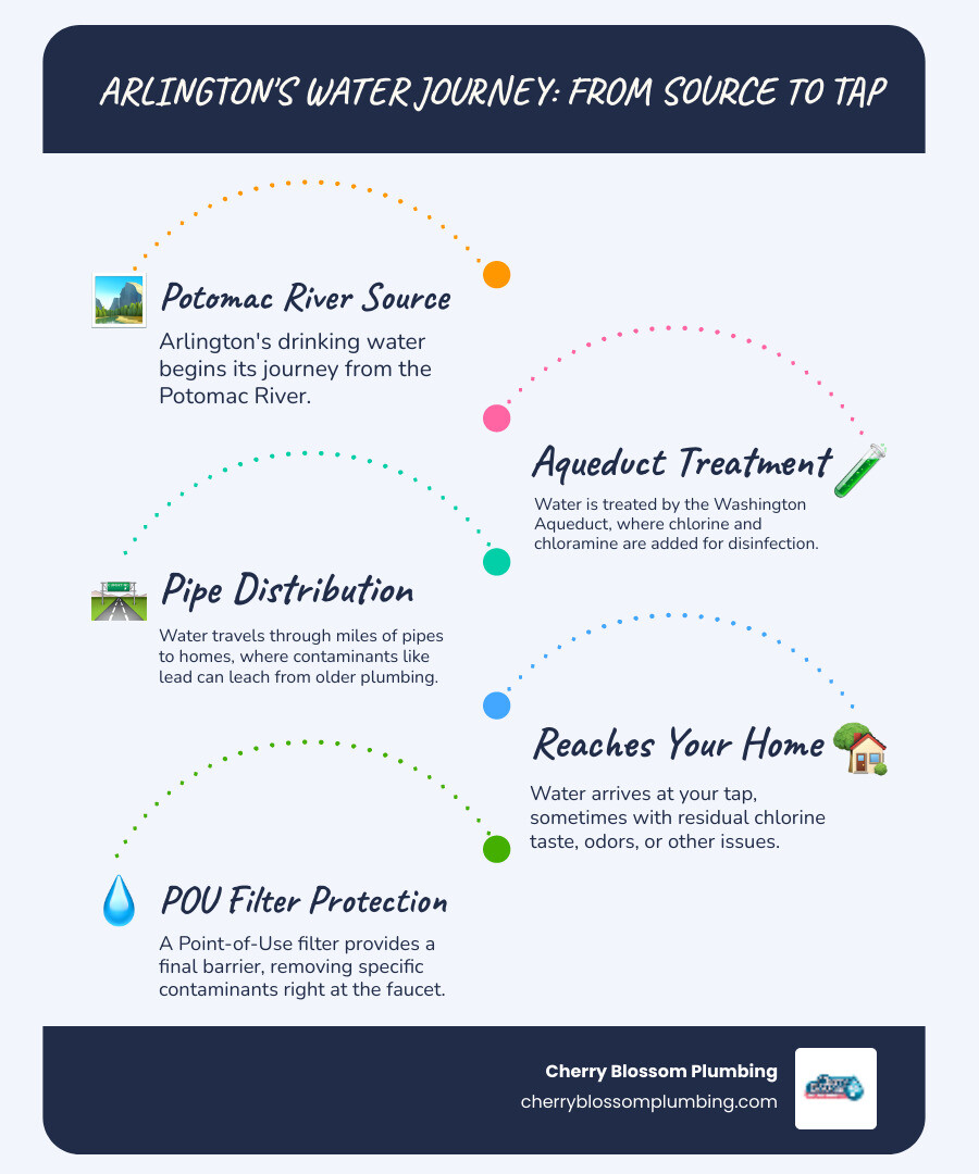 Infographic showing the journey of Arlington's drinking water from the Potomac River through the Washington Aqueduct treatment plants, highlighting where chlorine and chloramine are added, where lead can leach from pipes, and where point-of-use filters provide a final barrier of protection at your tap - point of use water filter arlington va infographic infographic-line-5-steps-blues-accent_colors