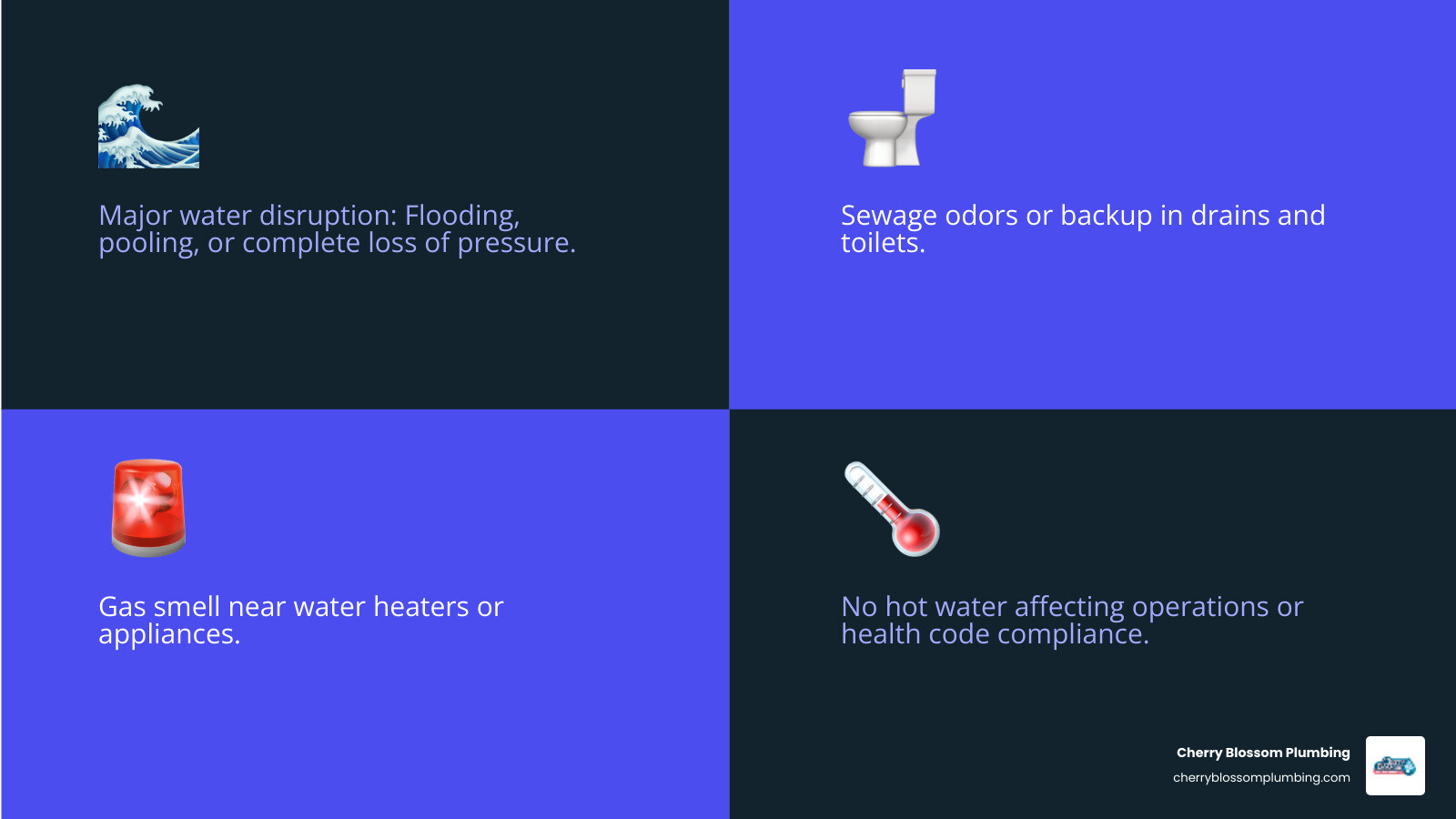 5 Signs Your Alexandria Business Has a Plumbing Emergency: 1) Visible water pooling or flooding in work areas, 2) Complete loss of water pressure or no water flow, 3) Sewage odors or backup in drains and toilets, 4) Gas smell near water heaters or appliances, 5) No hot water affecting operations or health code compliance - emergency plumber alexandria va infographic 4_facts_emoji_blue