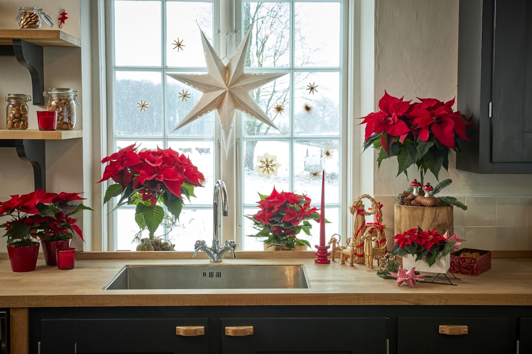 7 Practical Ways to Solve Your Holiday Drain Clogs for Good