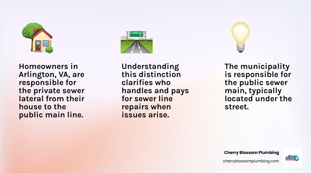 Infographic showing the distinction between homeowner-owned private sewer lateral running from the house to the property line versus the municipally-owned public sewer main in the street, with clear labels indicating responsibility boundaries and typical connection points for Arlington VA homes - local sewer repair in arlington, va infographic 3_facts_emoji_light-gradient