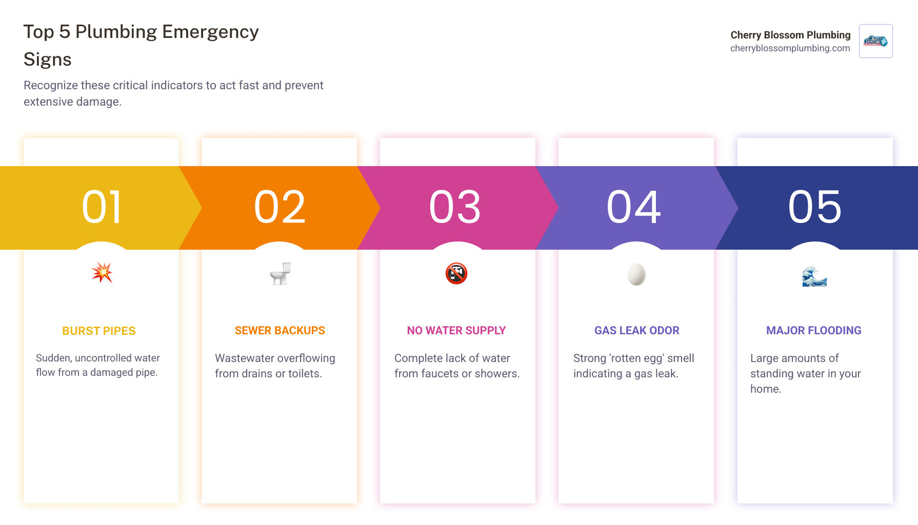 infographic showing the top 5 signs of a plumbing emergency: burst pipes with water spraying, sewage backup in a toilet, no water coming from faucets, gas leak smell represented by rotten eggs, and flooded basement with standing water - emergency plumber Wolf Trap, VA infographic pillar-5-steps