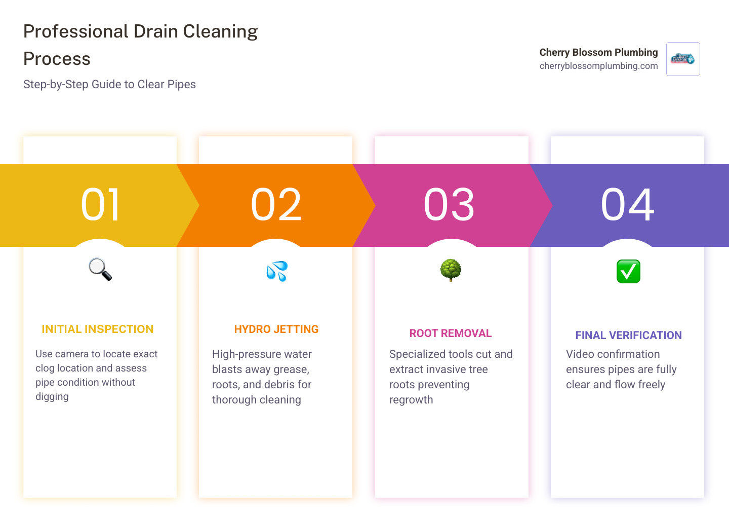infographic showing step-by-step professional drain cleaning process: initial inspection with camera, hydro jetting to clear buildup, root removal for tree intrusions, final video confirmation of clear pipes, and preventive maintenance recommendations - "I need to find a reputable company for drain cleaning in Alexandria, VA." infographic pillar-4-steps