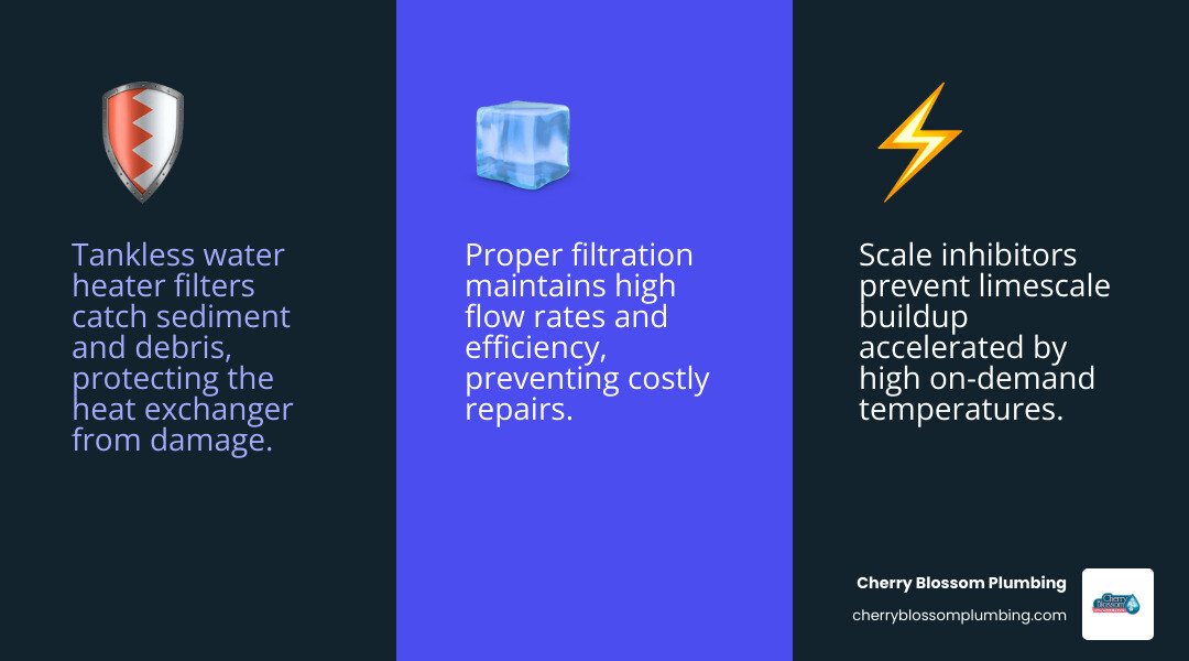 Infographic showing how tankless water heater filtration works, types of filters, and maintenance schedule -   tankless