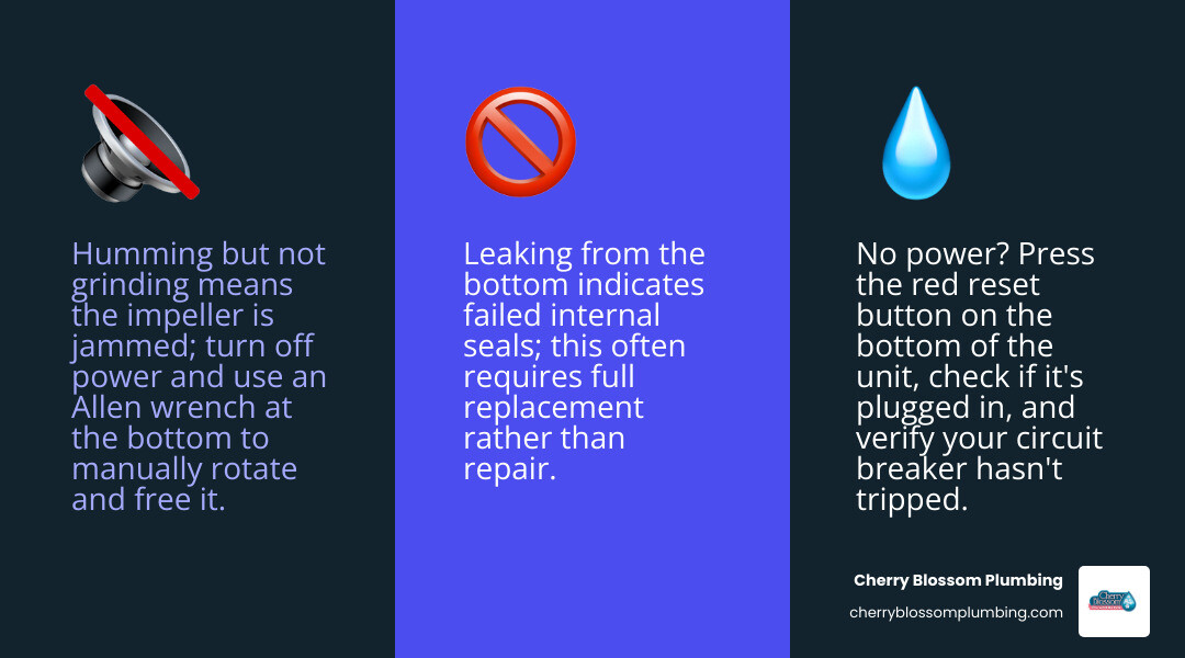 Infographic showing 7 signs your garbage disposal needs repair and first steps to take - garbage disposal repair service Infographic showing 7 signs your garbage disposal needs repair and first steps to take - garbage disposal repair service