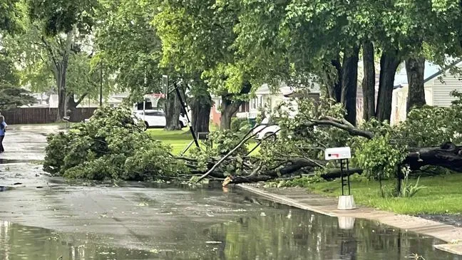Monsoon Storm Clean up