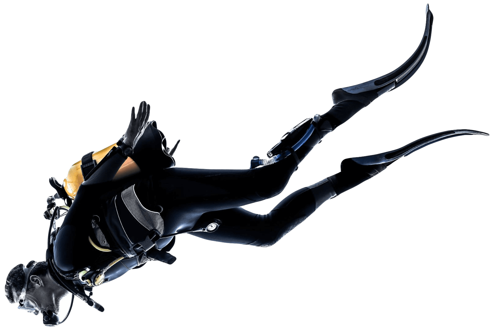 Diver swimming downward on transparent background
