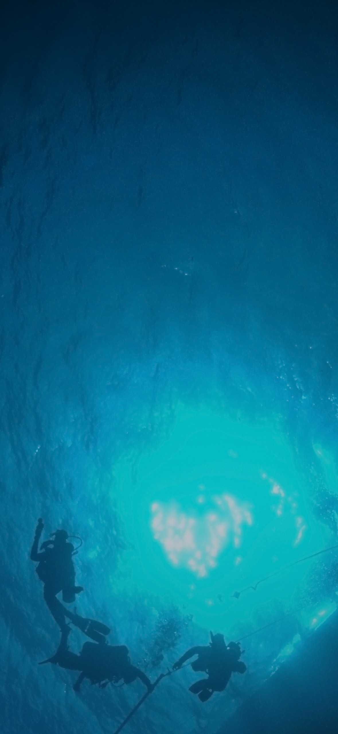 Diver sihouettes against blue ocean surface.