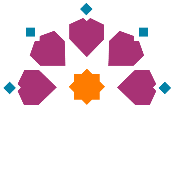Nisa Foundation logo