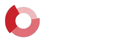 VPM Logo