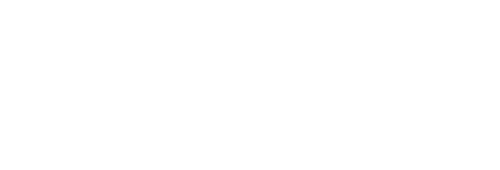 Mailchimp Partner logo featuring a smiling chimp face wearing a hat next to the text 'Mailchimp Partner'.