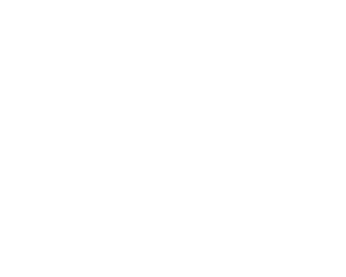 White circular logo with a stylized black 'N' and a diagonal line extending from the top left to bottom right within the circle.