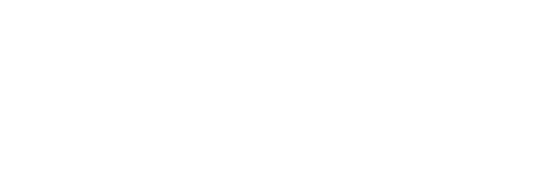 Logo of Bloomerange Partner featuring a stylized flower-like icon followed by the text 'bloomerange partner'.