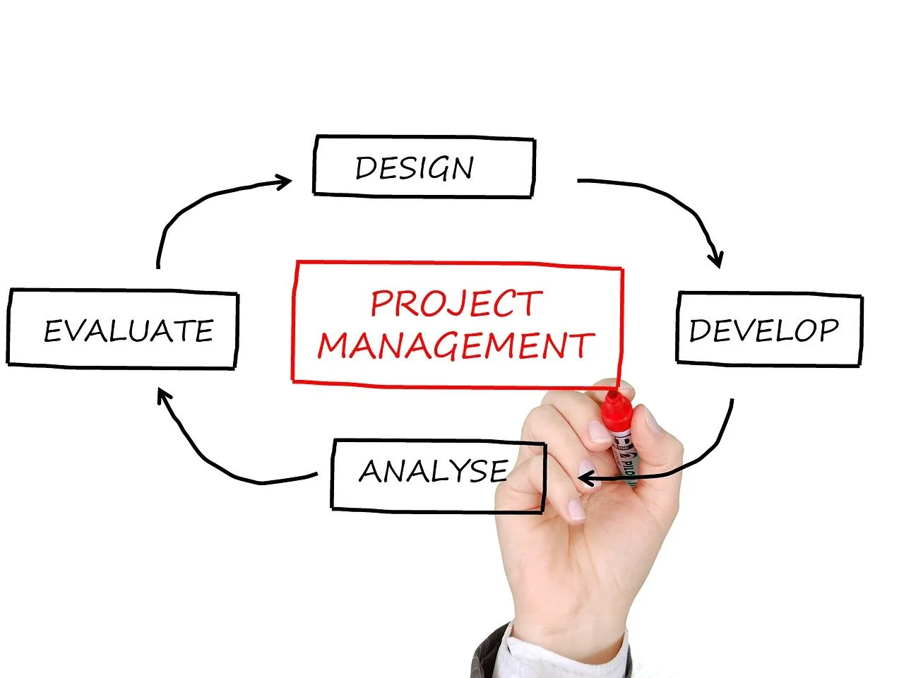 Hand drawing a UX Design Process cycle with Project Management, Analyse, Design, Develop, and Evaluate steps using a red marker on a whiteboard.