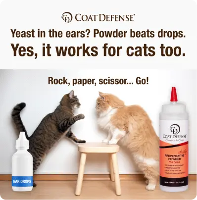 Coat Defense [Ecommerce]