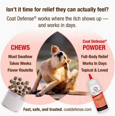 Coat Defense [Ecommerce]