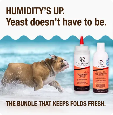 Coat Defense [Ecommerce]