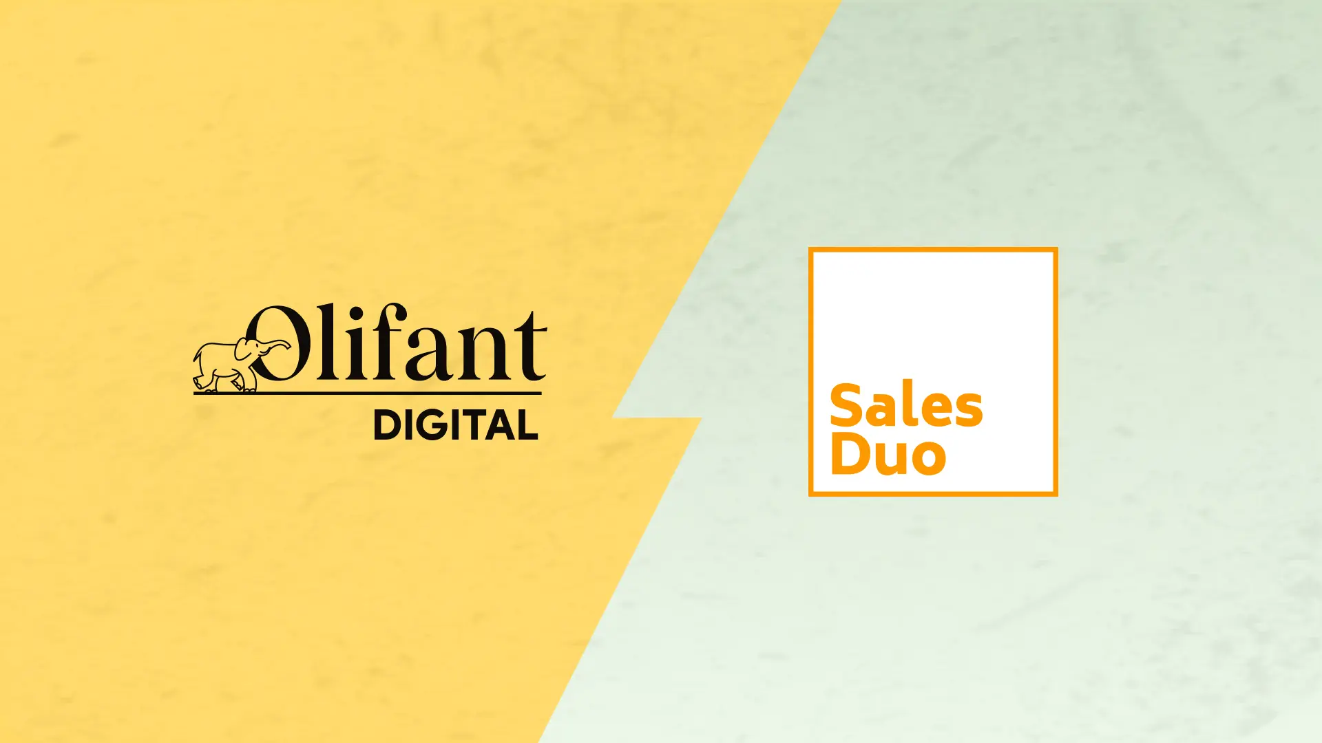 Olifant Digital vs SalesDuo: Which Amazon agency actually delivers?