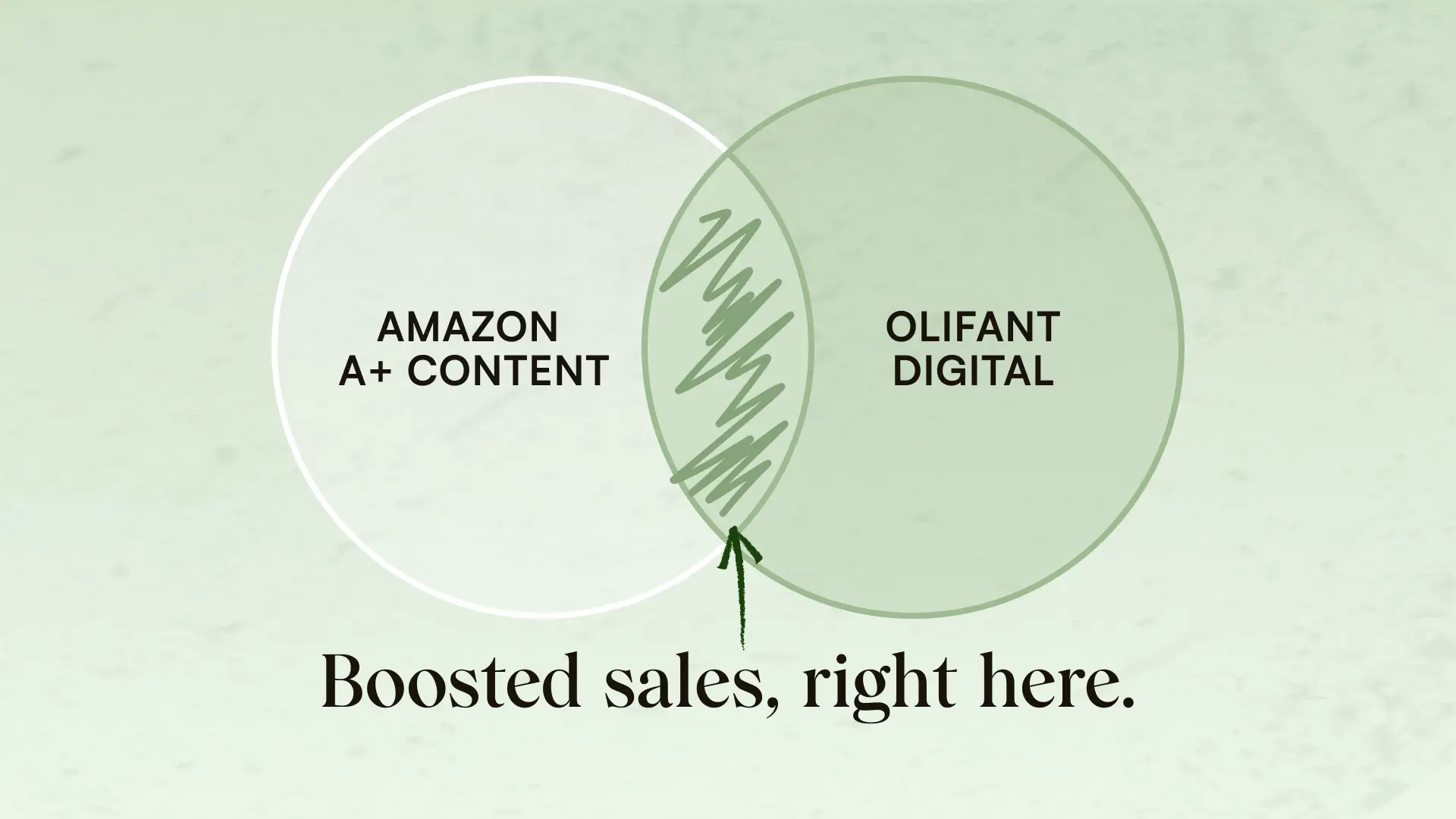 How to Create A+ Content on Amazon to Boost Sales: Exact Steps