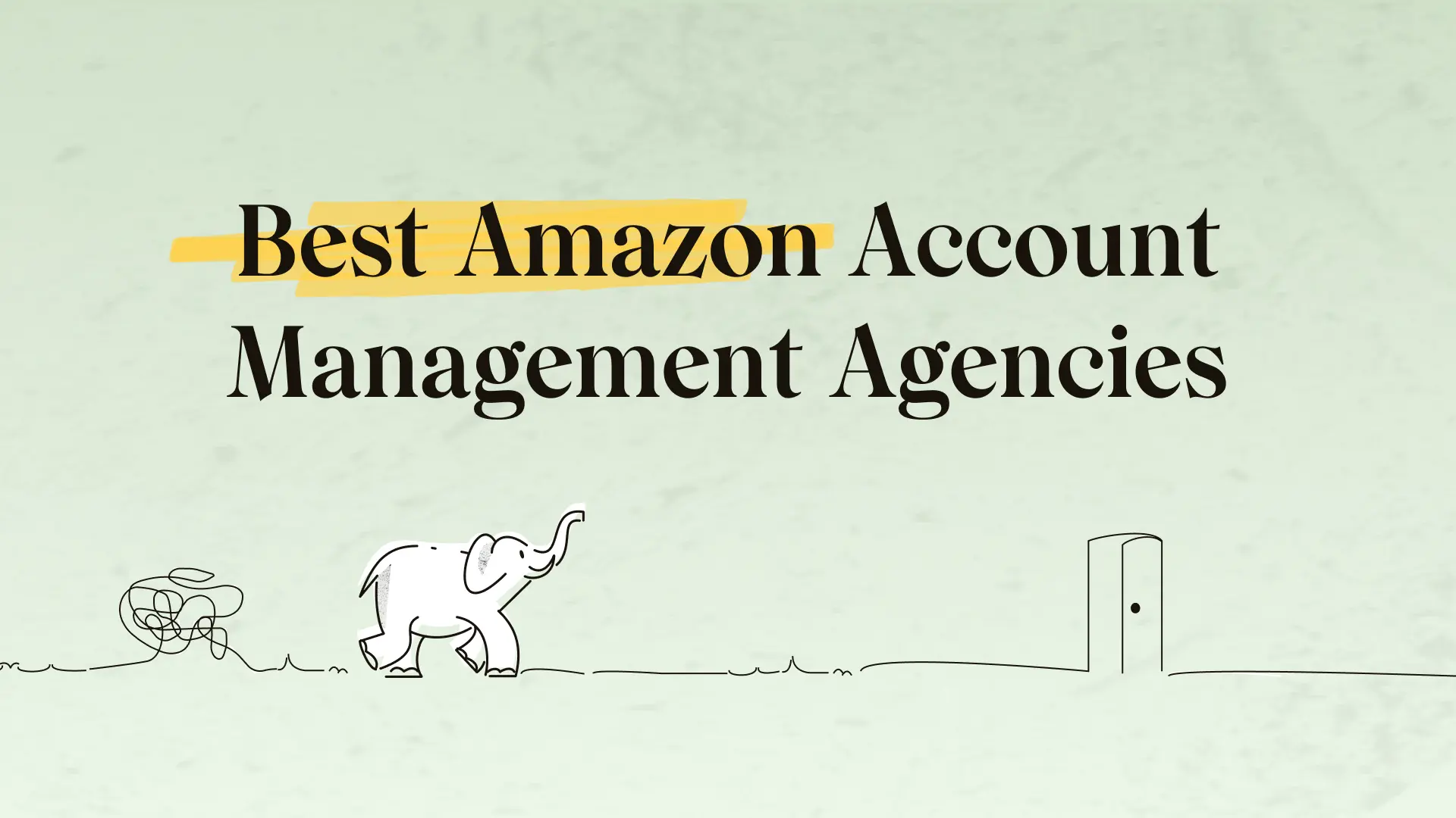 Best Amazon account management agencies in 2026
