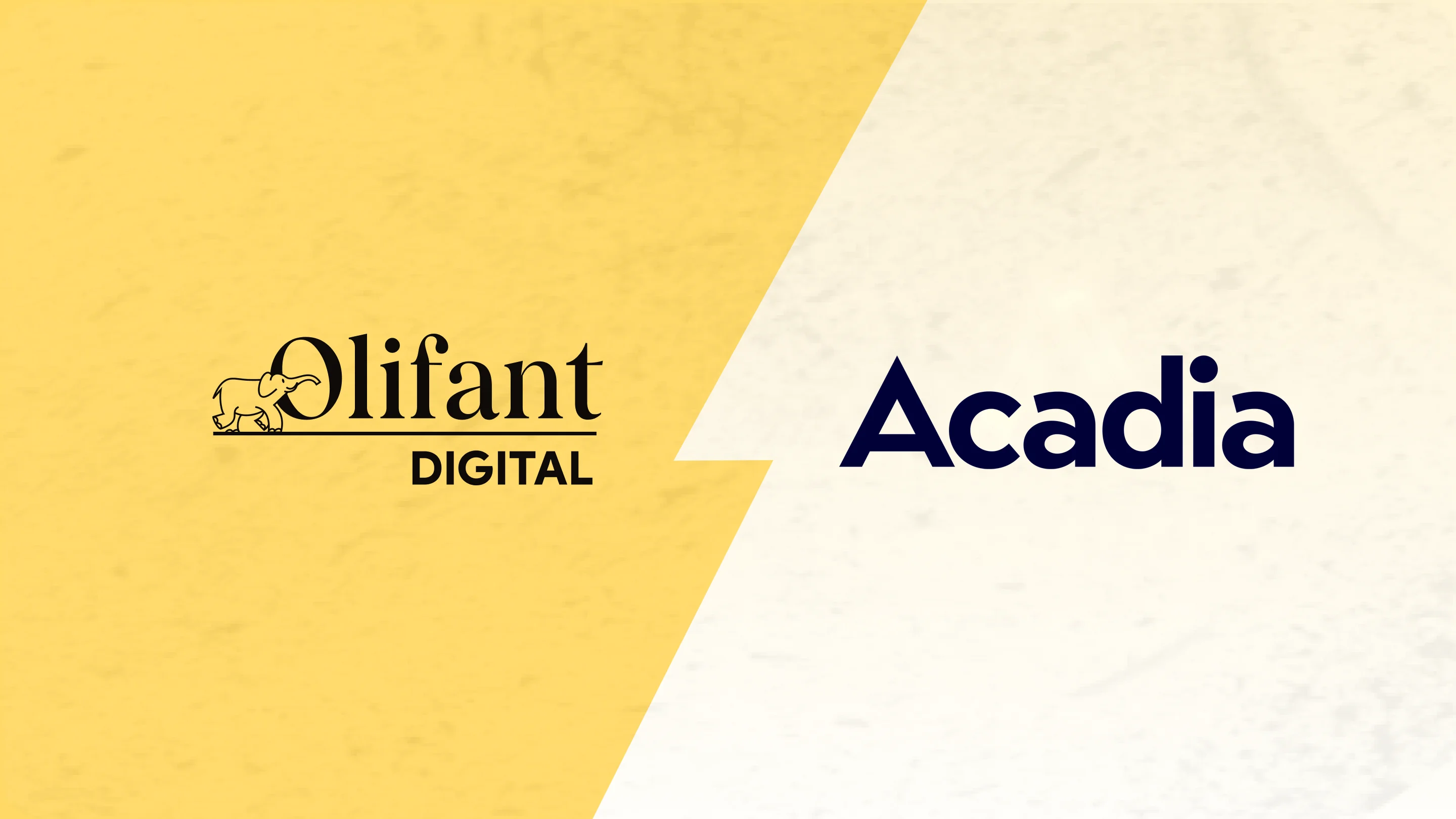 Olifant Digital vs Acadia: which agency is better for your Amazon brand?