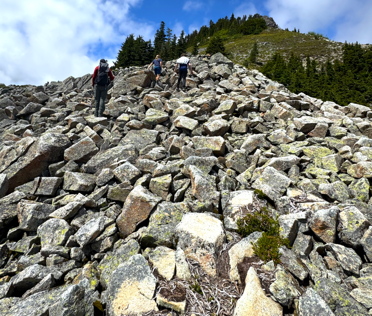 Backpacking & Loan Attestations