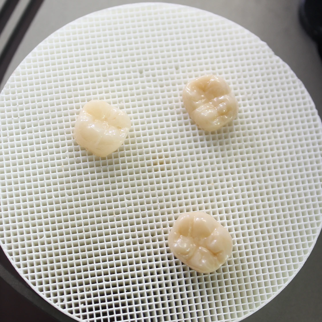 3 Zirconia crownslanding on the firing palate