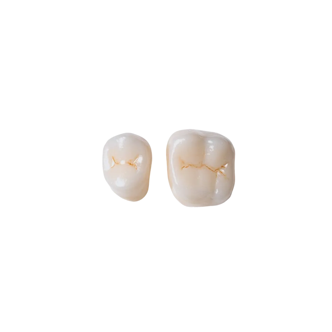 2 zirconia crowns standing side by side