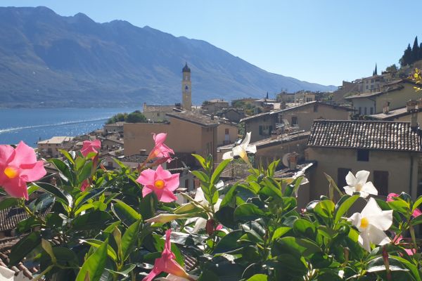 Blick auf den Gardasee mit bunten Bluemn im Vordergrund