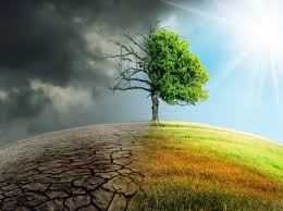 Climate Impact on the Caspian Sea: Challenges and Future Prospects