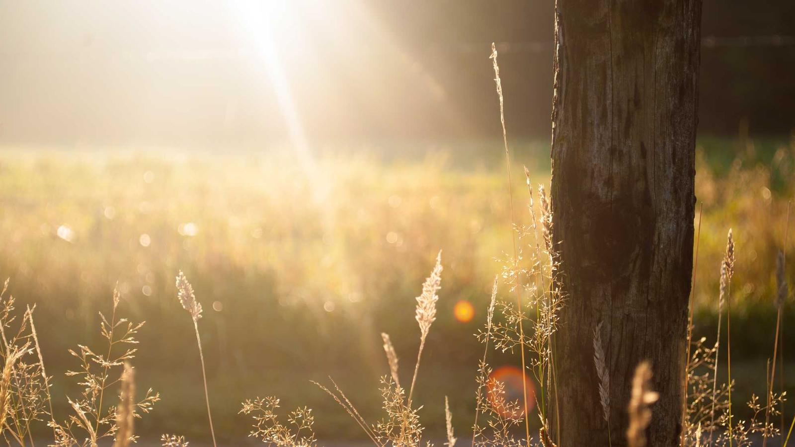 Venture Capital in Baku and Tbilisi: From Seed to Series A