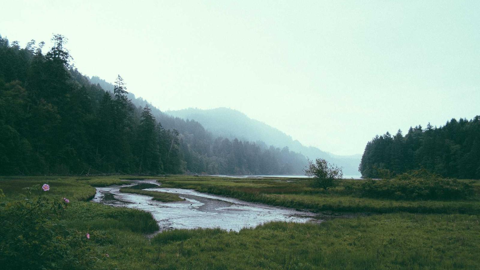 Southern Gas Corridor: Capacity Upgrades and European Demand