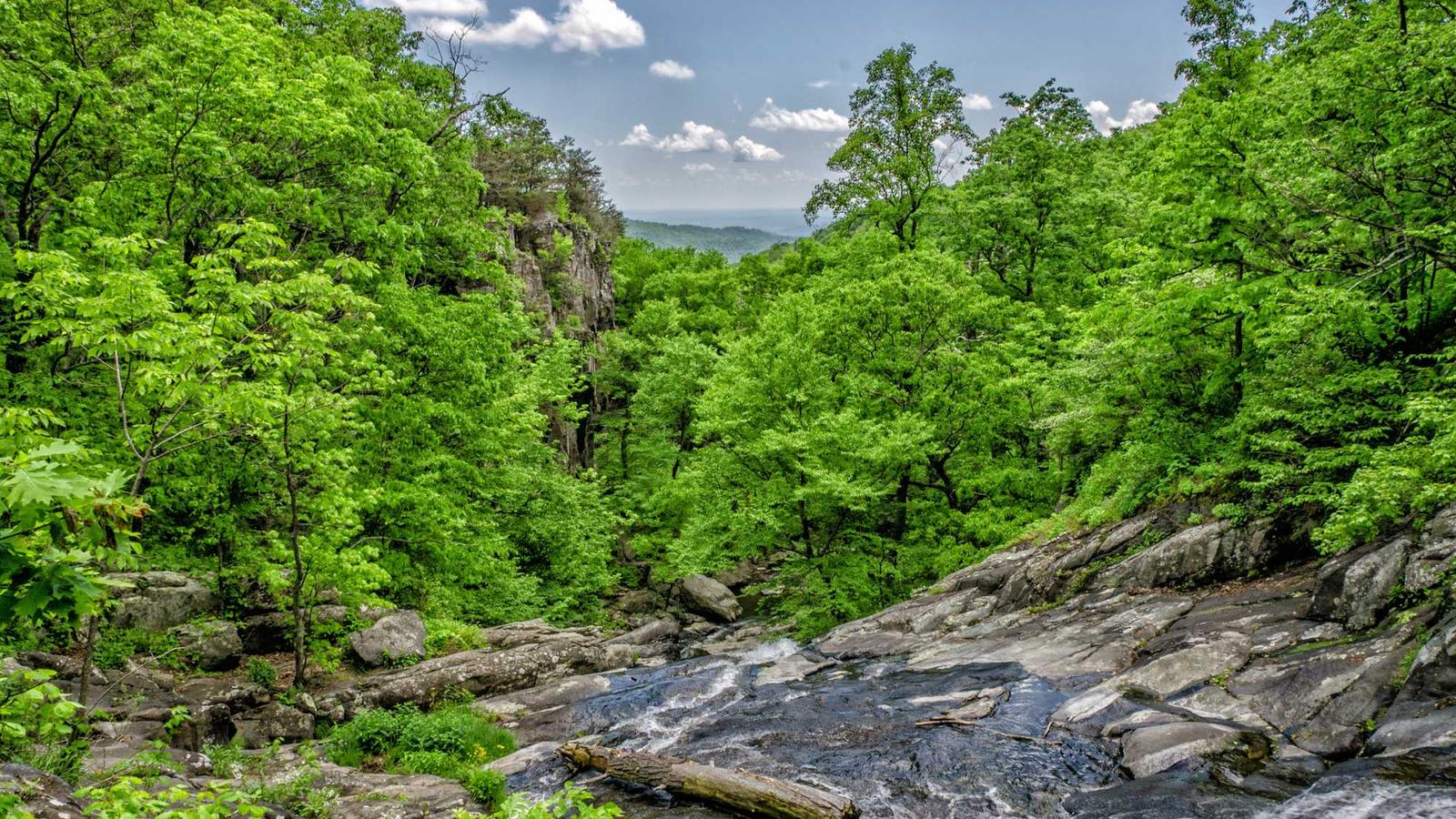 Caspian Subsea Cables: Data, Power, and Strategic Depth