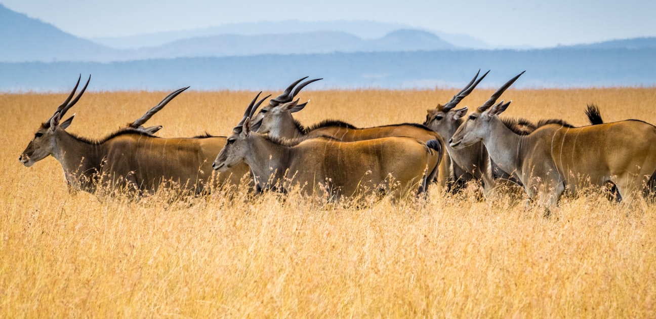 Azerbaijan Boosts Gas Exports to Europe by 56 Percent as Southern Corridor Expands