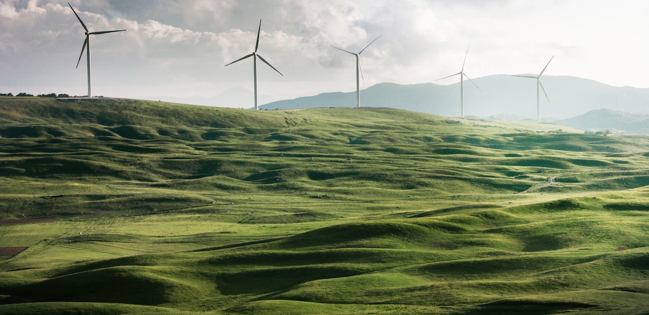 Azerbaijan, Kazakhstan and Uzbekistan Form Green Corridor Union for Regional Clean Energy