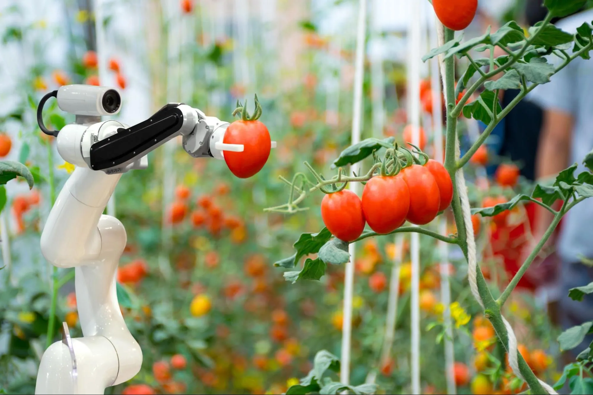 10 Workplace Automation Statistics and Trends for 2023