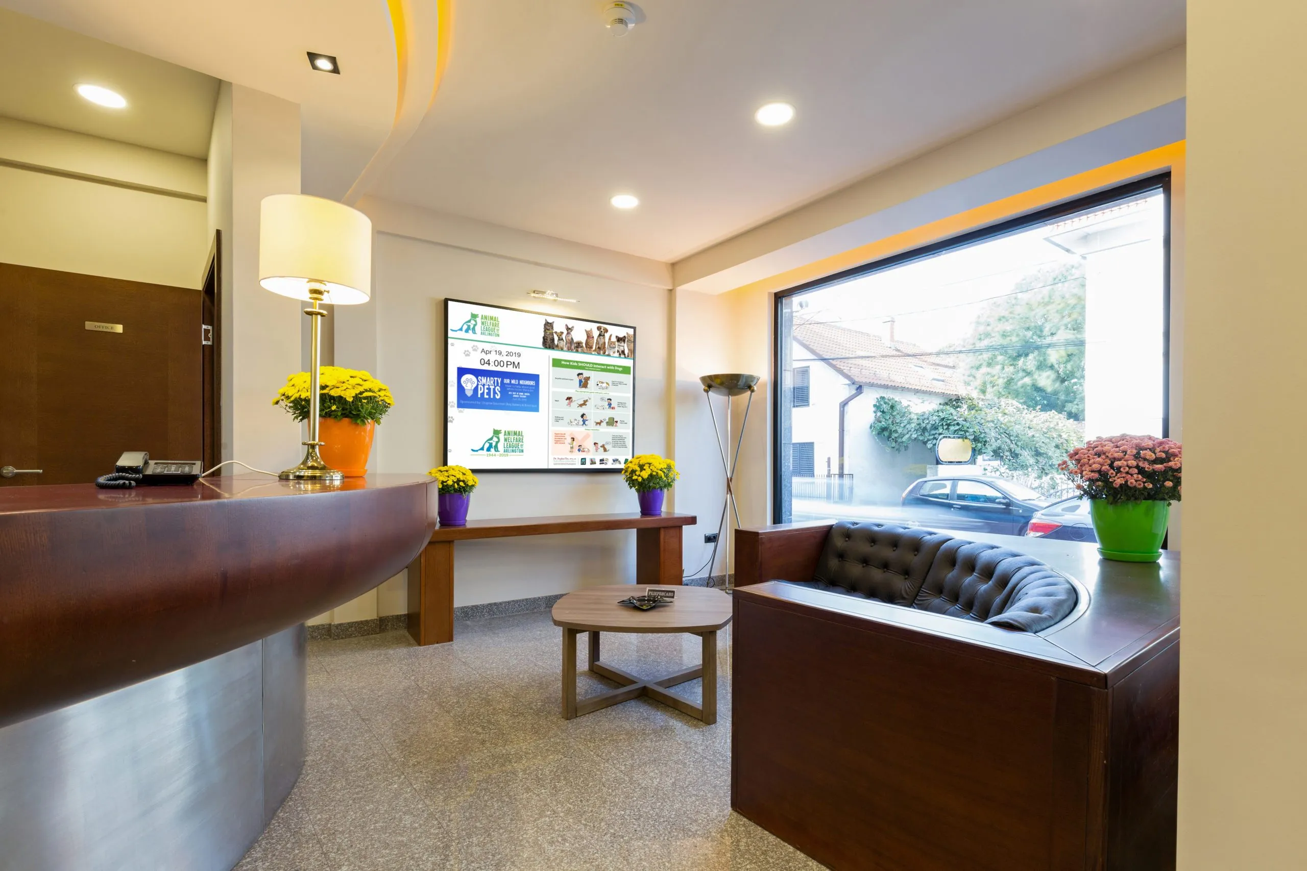 5 Content Ideas For Veterinary Offices