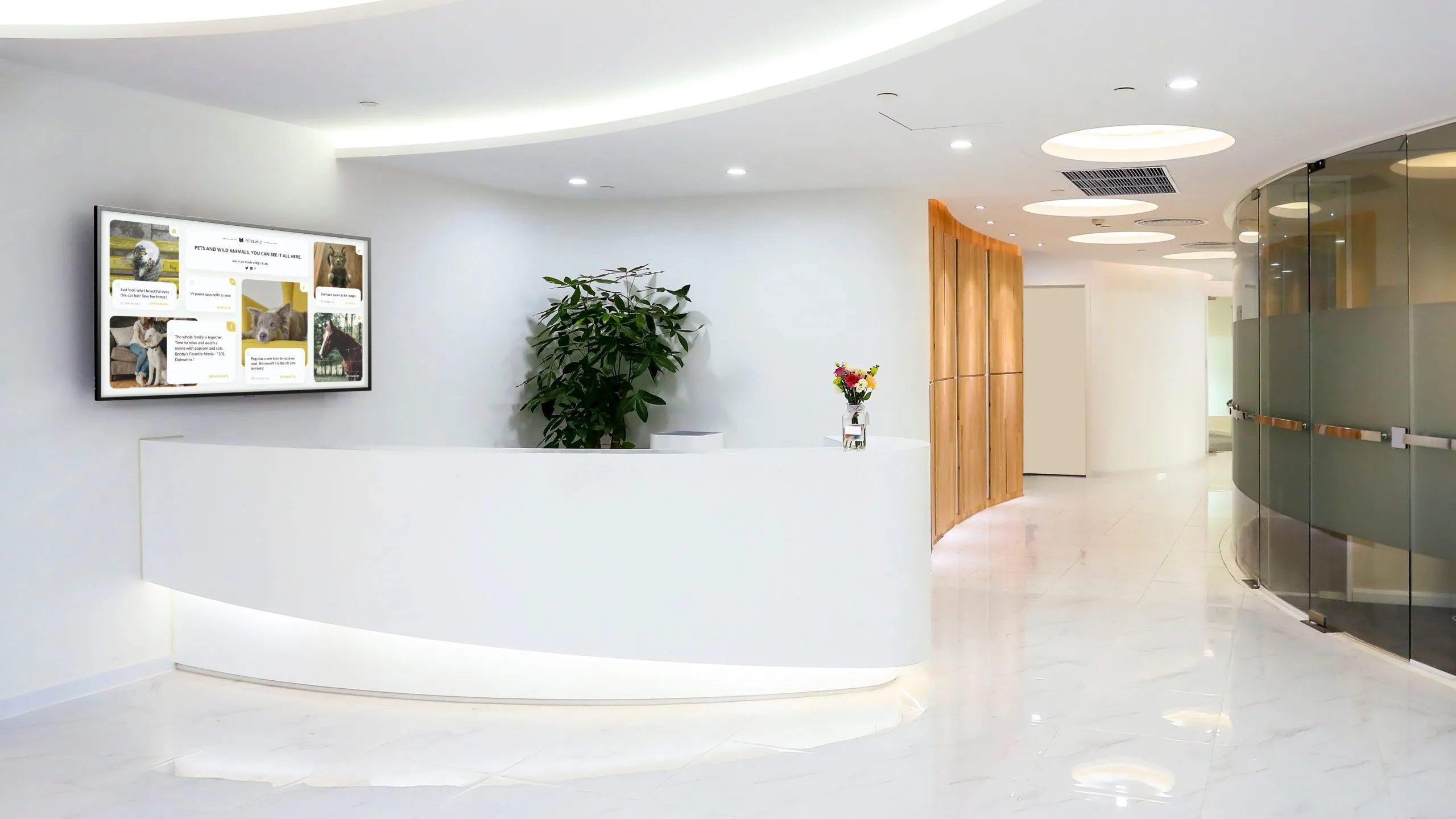 Top 11 Digital Signage Questions Regularly Asked